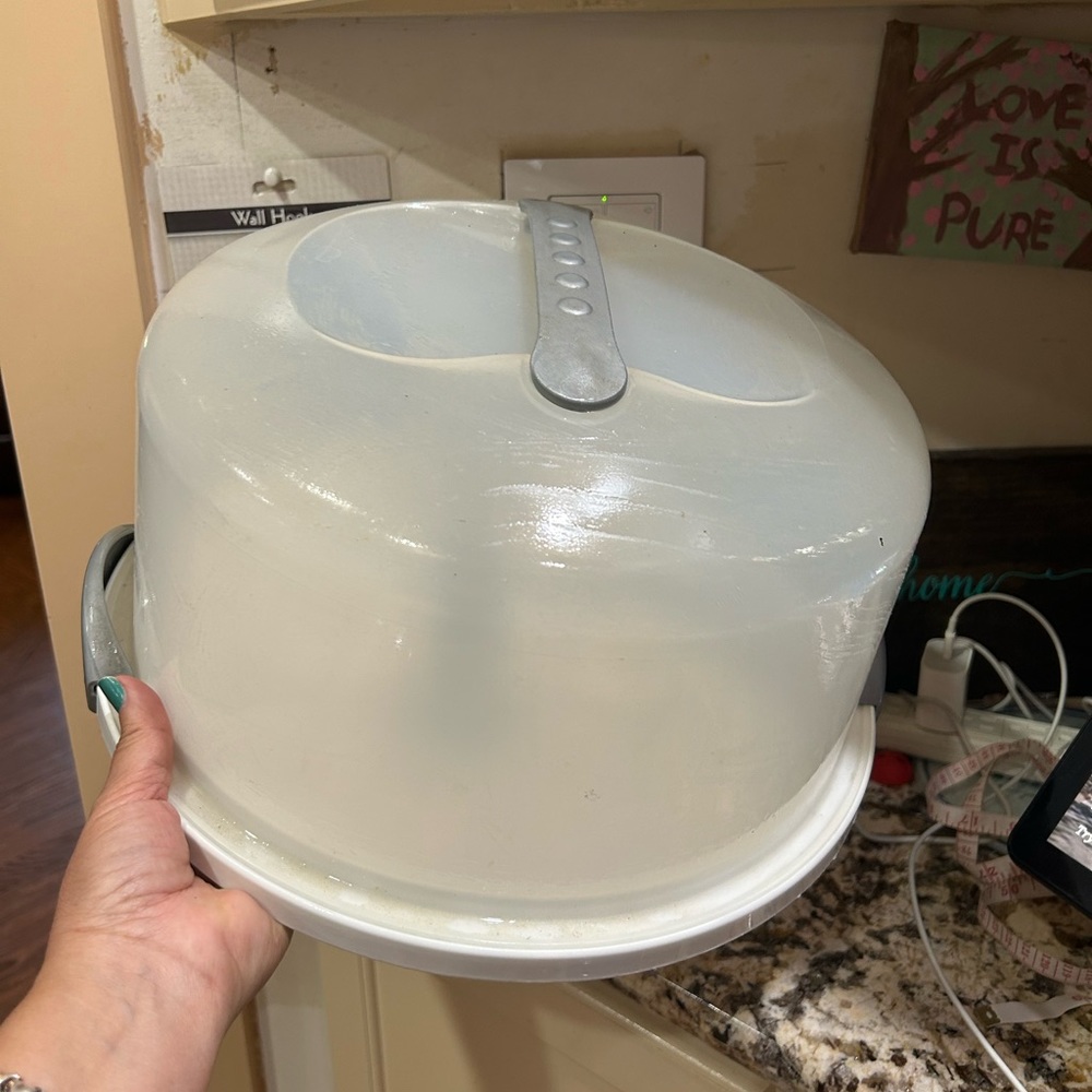 Cake storage container
